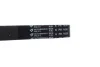 Ремінь генератора Audi 80/A6/A8 2.8 94-05/Ford Transit 2.5DI/TD 91-00 (6PK1630) 1630 K 6 HUTCHINSON 1630-K-6 (фото 2)