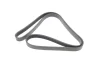 Ремінь генератора Audi 80/A6/A8 2.8 94-05/Ford Transit 2.5DI/TD 91-00 (6PK1630) 1630 K 6 HUTCHINSON 1630-K-6 (фото 5)