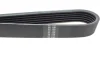 Ремінь генератора VW LT 2.8TDI 96KW/Ford Transit 2.0DI 00-14 (6PK1637) 1637 K 6 HUTCHINSON 1637-K-6 (фото 3)