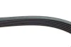 Ремінь генератора VW LT 2.8TDI 96KW/Ford Transit 2.0DI 00-14 (6PK1637) 1637 K 6 HUTCHINSON 1637-K-6 (фото 4)