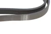 Ремінь генератора VW LT 2.8TDI 96KW/Ford Transit 2.0DI 00- (6PK1640) 1640 K 6 HUTCHINSON 1640-K-6 (фото 4)