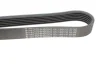 Ремінь генератора VW LT 2.8TDI 96KW/Ford Transit 2.0DI 00- (6PK1640) 1640 K 6 HUTCHINSON 1640-K-6 (фото 5)