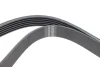 Ремінь генератора Renault Megane I/Ford Transit 2.0 94-00 (6PK1650) 1650 K 6 HUTCHINSON 1650-K-6 (фото 3)