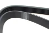 Ремінь генератора Fiat Scudo/Citroen Berlingo/VW Golf IV 1.8/1.9TDI 97- (6PK1660) 1660 K 6 HUTCHINSON 1660-K-6 (фото 2)