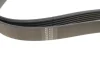 Ремінь генератора VW LT 2.5TDI -06/T4 2.5 91-03/Ford Connect 1.8 TDCi 02-07 (6PK1718) 1718 K 6 HUTCHINSON 1718-K-6 (фото 3)