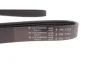 Ремінь генератора BMW 3 (E46)/Fiat Scudo 1.9D/VW Caddy III/ Golf V/Passat 1.4/1.6FSI (6PK1733) 1733 K 6 HUTCHINSON 1733-K-6 (фото 4)