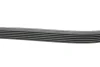 Ремінь генератора VW Caddy III/Fiat Scudo 1.4/1.4TSI 03- 1736 K 6 HUTCHINSON 1736-K-6 (фото 2)