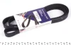 Ремінь генератора Ford Connect 1.8TDCi 06-14/Citroen C5 2.0HDi 00- (6PK1745) 1745 K 6 HUTCHINSON 1745-K-6 (фото 1)