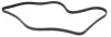 Ремінь генератора Ford Connect 1.8TDCi 06-14/Citroen C5 2.0HDi 00- (6PK1745) 1745 K 6 HUTCHINSON 1745-K-6 (фото 2)