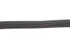 Ремінь генератора Renault Kangoo 1.4/1.6i, 97- (5PK1750) 1750 K 5 HUTCHINSON 1750-K-5 (фото 3)