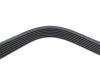 Ремінь генератора Renault Espace 2.2 dCi 02- 1770 K 7 HUTCHINSON 1770-K-7 (фото 4)
