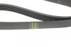 Ремінь генератора Toyota Corolla 00-02 1820 K 6 HUTCHINSON 1820-K-6 (фото 3)
