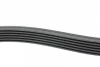 Ремінь генератора Audi/BMW/Chevrolet/MB/Opel (6PK1875) 1875 K 6 HUTCHINSON 1875-K-6 (фото 2)