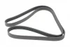 Ремінь генератора Audi/BMW/Chevrolet/MB/Opel (6PK1875) 1875 K 6 HUTCHINSON 1875-K-6 (фото 5)