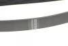 Ремінь генератора Honda Accord VIII 2.0 I 08-/ Land Rover Range Rover II 3.9-4.6 94-02 2080 K 7 HUTCHINSON 2080-K-7 (фото 3)