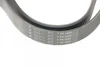 Ремінь генератора Honda Accord VIII 2.0 I 08-/ Land Rover Range Rover II 3.9-4.6 94-02 2080 K 7 HUTCHINSON 2080-K-7 (фото 4)