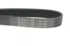Ремінь генератора Land Rover/Toyota Land Cruiser 120 4.0i/4.6 94- 2120 K 7 HUTCHINSON 2120-K-7 (фото 4)
