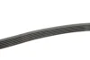 Ремінь генератора MB W124/W126/W201/W202 3.0 -96/VW LT 2.5TDI (6PK2172) 2172 K 6 HUTCHINSON 2172-K-6 (фото 3)