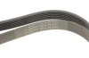 Ремінь генератора MB W124/W126/W201/W202 3.0 -96/VW LT 2.5TDI (6PK2172) 2172 K 6 HUTCHINSON 2172-K-6 (фото 5)