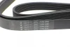 Ремінь генератора Hyundai H-1/Starex/Kia Sorento 2.5 CRDI 01- 2285 K 7 HUTCHINSON 2285-K-7 (фото 4)