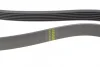 Ремінь генератора Jeep Cherokee 2.8 CRD 08- (6PK2430) 2430 K 6 HUTCHINSON 2430-K-6 (фото 3)