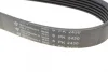 Ремінь генератора Jeep Cherokee 2.8 CRD 08- (6PK2430) 2430 K 6 HUTCHINSON 2430-K-6 (фото 4)