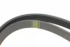 Ремінь генератора Porsche Cayenne/VW Touareg 3.0 TDI 09- (6PK2475) 2475 K 6 HUTCHINSON 2475-K-6 (фото 3)