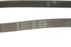 Ремінь генератора Opel Movano 2.5D 98-00 (6PK870) 870 K 6 HUTCHINSON 870-K-6 (фото 5)