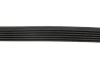 Ремінь генератора Fiat Scudo 1.6/Renault Kangoo 1.9D 97- (6PK894) 894 K 6 HUTCHINSON 894-K-6 (фото 3)