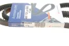 Ремінь генератора VW Golf/Toyota Corolla 1.6-2.0D 76-00 (13x950) AV 13 La 950 HUTCHINSON AV-13-LA-950 (фото 5)