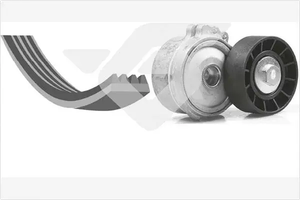 Комплект ременя генератора Citroen Jumpy/Fiat Scudo/Peugeot Expert 2.0HDi 04- (6PK1220) KHV 173 HUTCHINSON KHV-173 (фото 1)