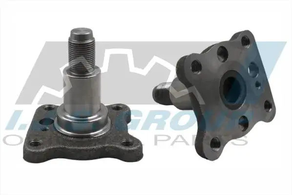Маточина (задня) Ford Fiesta/Focus 98-08 IJS GROUP 10-2034 (фото 1)