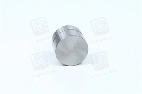 Гідрокомпенсатор Daewoo Lanos/Nubira 1.6 16V 97- 420 0059 10 INA 420-0059-10