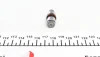 Гідрокомпенсатор BMW 1(E81)/3(E46/91)/5(E60) N46/N40/N45 420 0188 10 INA 420-0188-10 (фото 2)