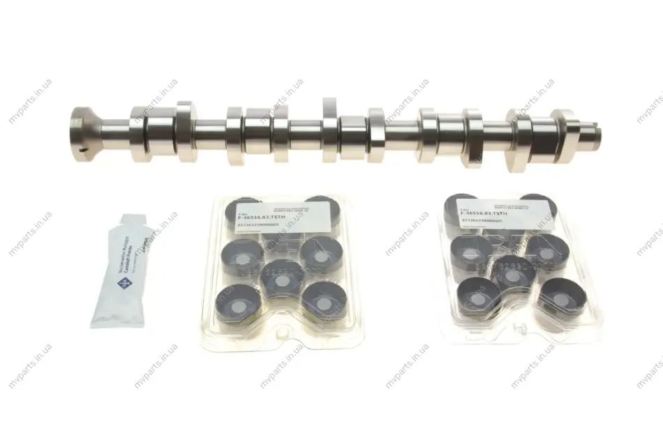 Комплект розподільчого валу VW T5 2.5 TDI 03-09, 96/120/128kw, (BNZ,AXD,BPC,AXE,BLJ) 428 0040 30 INA 428-0040-30 (фото 1)