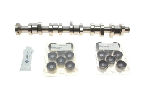 Комплект розподільчого валу VW T5 2.5 TDI 03-09, 96/120/128kw, (BNZ,AXD,BPC,AXE,BLJ) 428 0040 30 INA 428-0040-30