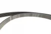 Комплект ременя генератора Ford Fiesta/Mazda 2 1.4D 01-12 (6PK 1705) 529 0012 10 INA 529-0012-10 (фото 2)