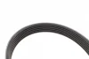 Комплект ременя генератора Ford Fiesta/Mazda 2 1.4D 01-12 (6PK 1705) 529 0012 10 INA 529-0012-10 (фото 3)
