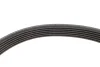 Комплект ременя генератора Citroen Berlingo/Peugeot Expert/Partner 1.6 HDi05- (6PK1708) 529 0046 10 INA 529-0046-10 (фото 3)