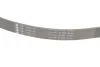 Комплект ременя генератора BMW 3 (E90/E91/E92/E93) 06-13 (7PK1103) N43B16/B20 529 0049 10 INA 529-0049-10 (фото 3)