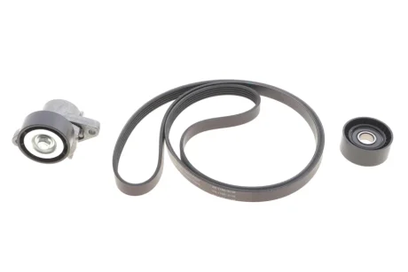 Комплект ременя генератора Renault Megane/Scenic 00-09, (5PK1750) 529 0082 10 INA 529-0082-10