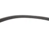 Комплект ременя генератора Renault Megane/Scenic 00-09, (5PK1750) 529 0082 10 INA 529-0082-10 (фото 9)