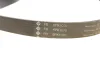 Комплект ременя генератора VW Caddy II 1.4/1.6 95-04 (6PK1070) 529 0084 10 INA 529-0084-10 (фото 5)