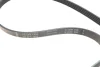 Комплект ременя генератора VW Passat 96-05 (5PK1300) 529 0096 10 INA 529-0096-10 (фото 2)