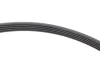 Комплект ременя генератора VW Passat 96-05 (5PK1300) 529 0096 10 INA 529-0096-10 (фото 3)