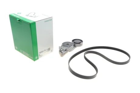 Комплект ременя генератора VW Passat 96-05 (5PK1300) 529 0096 10 INA 529-0096-10