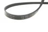 Комплект ременя генератора VW Passat 1.4-2.0 TDI 96-05 (4PK855) 529 0099 10 INA 529-0099-10 (фото 4)