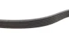 Комплект ременя генератора Audi A2/Seat Ibiza/Skoda Fabia/VW Golf/Polo 1.4/1.6/1.6FSI 97- (6PK 1078) 529 0103 10 INA 529-0103-10 (фото 3)
