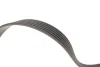 Комплект ременя генератора Citroen Jumpy/Fiat Scudo/Peugeot Partner/306/Expert 1.9D 98-15 (6PK1438) 529 0107 10 INA 529-0107-10 (фото 3)