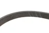 Комплект ременя генератора Nissan Note/Qashqai 1.5 dCi 11- (6PK 1195) 529 0117 10 INA 529-0117-10 (фото 3)